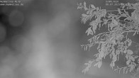 Archiv Foto Webcam Mummelsee: Seeufer 01:00