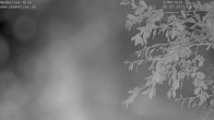 Archiv Foto Webcam Mummelsee: Seeufer 03:00