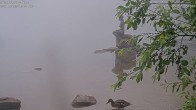 Archiv Foto Webcam Mummelsee: Seeufer 05:00