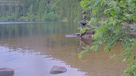 Archived image Webcam Lake Mummelsee 06:00