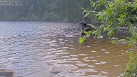 Archived image Webcam Lake Mummelsee 15:00