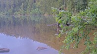 Archived image Webcam Lake Mummelsee 05:00