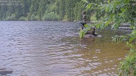 Archived image Webcam Lake Mummelsee 11:00
