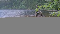 Archived image Webcam Lake Mummelsee 15:00