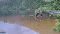 Archived image Webcam Lake Mummelsee 17:00