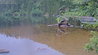Archived image Webcam Lake Mummelsee 19:00