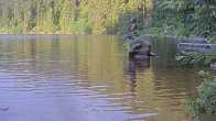 Archived image Webcam Lake Mummelsee 01:00