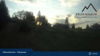 Archiv Foto Webcam Mönichkirchner Schwaig 18:00
