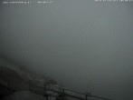 Archived image Webcam Puchberg am Schneeberg, Fischerhütte 19:00