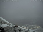 Archiv Foto Webcam Fischerhütte (Puchberg am Schneeberg) 11:00