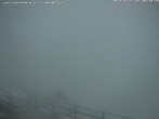 Archiv Foto Webcam Fischerhütte (Puchberg am Schneeberg) 05:00