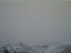 Archiv Foto Webcam Puchberg am Schneeberg Fischerhütte Süd 09:00