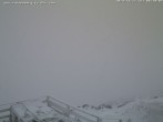 Archiv Foto Webcam Puchberg am Schneeberg Fischerhütte Süd 07:00