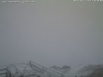 Archived image Webcam Puchberg am Schneeberg Fischerhütte southwards 09:00