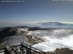 Archiv Foto Webcam Puchberg am Schneeberg Fischerhütte Süd 11:00