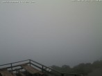 Archived image Webcam Puchberg am Schneeberg Fischerhütte southwards 11:00