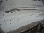 Archiv Foto Webcam Puchberg am Schneeberg - Damböckhaus 05:00