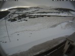 Archiv Foto Webcam Puchberg am Schneeberg - Damböckhaus 11:00