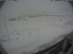 Archived image Webcam Damböckhaus - Puchberg am Schneeberg 07:00