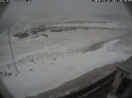 Archived image Webcam Damböckhaus - Puchberg am Schneeberg 09:00