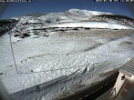 Archived image Webcam Damböckhaus - Puchberg am Schneeberg 11:00