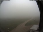 Archived image Webcam Damböckhaus - Puchberg am Schneeberg 12:00