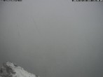 Archived image Webcam Alpine Hut Hochschneeberg 13:00