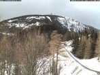 Archiv Foto Webcam Puchberg am Schneeberg - Bergblick Baumgartner 11:00