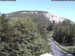 Archiv Foto Webcam Puchberg am Schneeberg - Bergblick Baumgartner 07:00