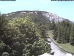 Archiv Foto Webcam Puchberg am Schneeberg - Bergblick Baumgartner 11:00