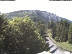 Archiv Foto Webcam Puchberg am Schneeberg - Bergblick Baumgartner 13:00