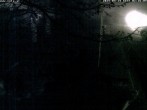 Archived image Webcam Train station Schneebergbahn - Gallery Voka 01:00