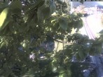 Archived image Webcam Train station Schneebergbahn - Gallery Voka 15:00