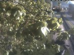 Archived image Webcam Train station Schneebergbahn - Gallery Voka 06:00
