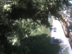 Archiv Foto Webcam Schneebergbahn - Galerie Voka 13:00