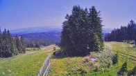 Archiv Foto Webcam Sternsteinlifte Bergstation 13:00