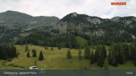 Archiv Foto Webcam Wurzeralm: Gammering 12:00