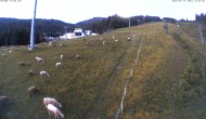 Archiv Foto Webcam Mittelstation der Tauern Seilbahn (1381m) 03:00
