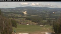 Archived image Webcam Wenigzell: Ski Resort 11:00