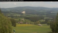Archiv Foto Webcam Wenigzell: Schneeland 11:00