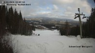 Archived image Webcam Wenigzell: Ski Resort 13:00