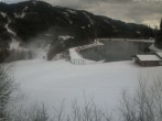 Archiv Foto Webcam Präbichl: Grüblsee 11:00