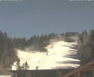 Archived image Webcam t-bar "Wildkopflift" 11:00