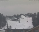 Archived image Webcam t-bar "Wildkopflift" 13:00