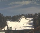 Archived image Webcam t-bar "Wildkopflift" 11:00