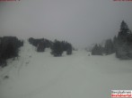 Archived image Webcam mountain station "Dorfbahn" 11:00