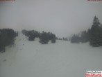 Archived image Webcam mountain station "Dorfbahn" 15:00