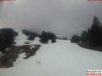 Archiv Foto Webcam Brandnertal: Bergstation Dorfbahn 11:00