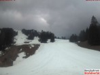 Archiv Foto Webcam Brandnertal: Bergstation Dorfbahn 17:00