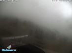 Archived image Webcam Ski Resort Diedamskopf - Wedelstube 01:00